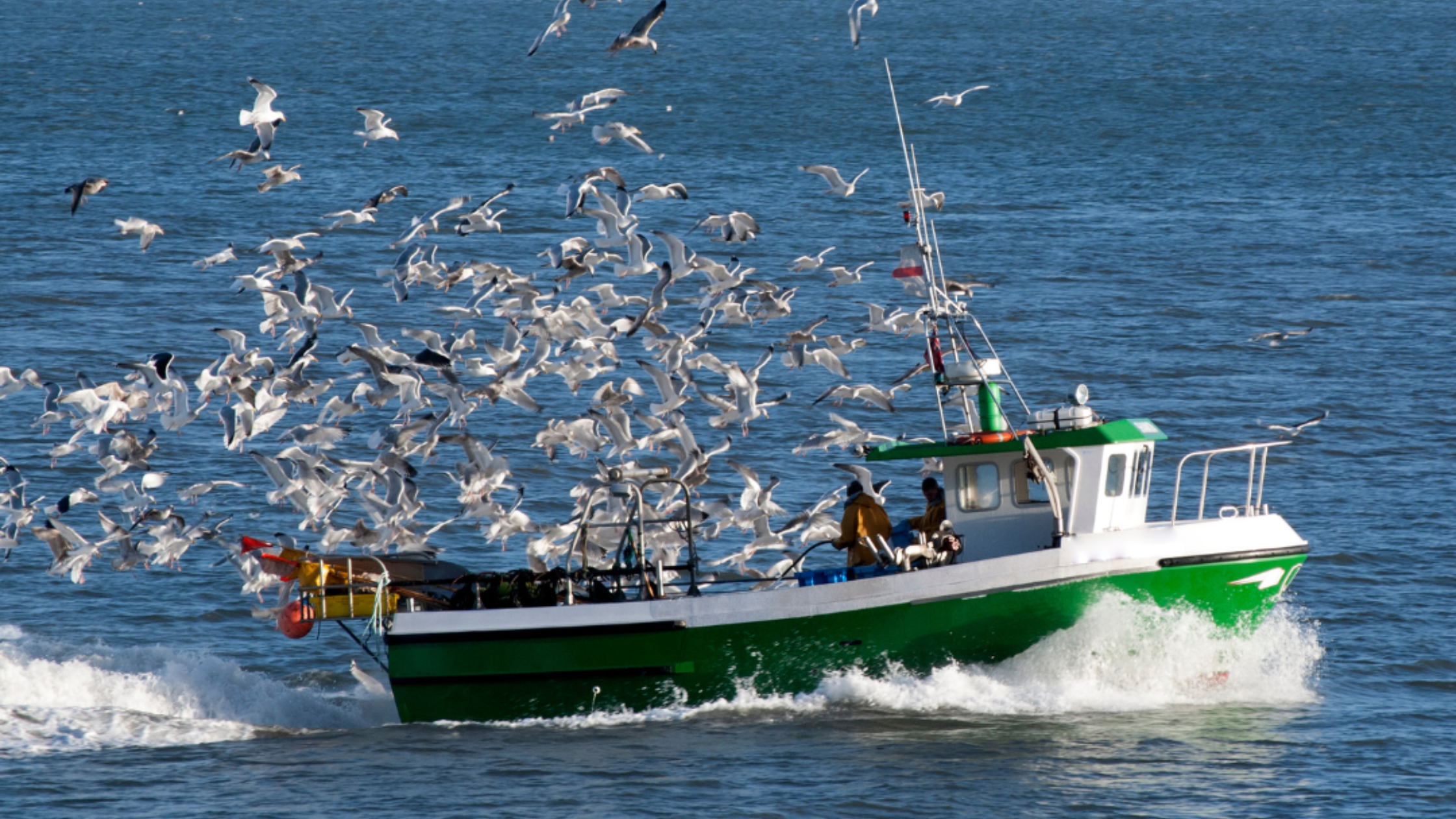 How Much Does Commercial Boat Insurance Cost? (Examples Included)