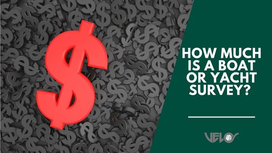 How Much Is a Boat or Yacht Survey? (Costs & How to Prepare)